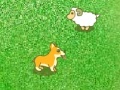 Igra Dog and sheep