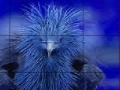 Igra Timid blue bird slide puzzle