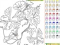 Igra Kid's coloring: Flowers for Butterflies