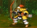 Igra Dynasty Fighter