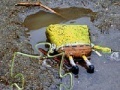 Igra SpongeBob Found Dead Jigsaw Puzzle