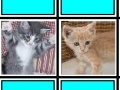Igra Fuzzy Memory: Kittens