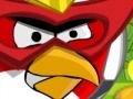 Igra Angry Bird protect home