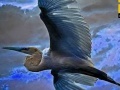 Igra Flying Blue Stork: Puzzle