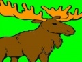 Igra Deer coloring game