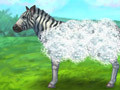 Igra Feed Zebra