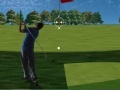 Igra Flash Golf 2