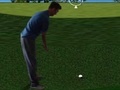 Igra Flash Golf 3D