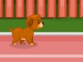 Igra Puppy racer