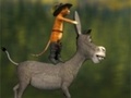 Igra Travel cat and a donkey