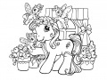 Igra My Little Pony: Crystal Princess Coloring Book