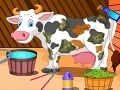 Igra Holstein Cow Care