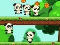 Igra Panda Shock Troop 