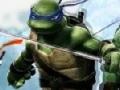 Igra Ninja Turtle Double Dragons 
