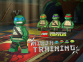 Igra Teenage Mutant Ninja Turtles: Ninja Training