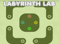 Igra Labyrinth Lab