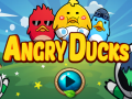 Igra Angry Ducks