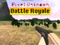 Igra Pixel Unknown Battle Royale