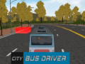 Igra City Bus Driver  