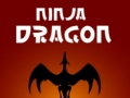 Igra Ninja Dragon