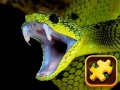 Igra Snake Puzzle Challenge