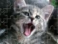 Igra Cat jeancliclac