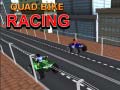 Igra Quad Bike Racing