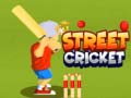 Igra Street Cricket