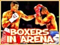 Igra Boxers in Arena