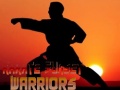 Igra Karate Sunset Warriors