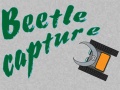 Igra Beetle Capture