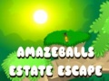 Igra Amazeballs Estate Escape