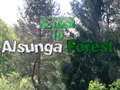 Igra Return To Alsunga Forest