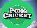 Igra Pong Cricket