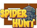 Igra Spider Hunt