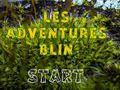 Igra Les Adventures Blin