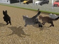 Igra Run Cat Cat Race