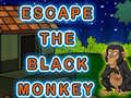 Igra Escape The Black Monkey