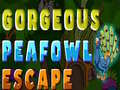 Igra Gorgeous Peafowl Escape