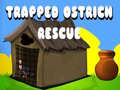 Igra Trapped Ostrich Rescue