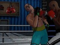 Igra Ultimate Boxing Showdown