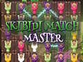 Igra Skibidi Match Master