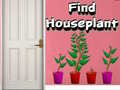 Igra Find Houseplant