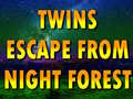 Igra Twins Escape From Night Forest