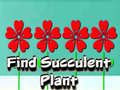 Igra Find Succulent Plant