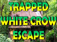 Igra Trapped White Crow Escape