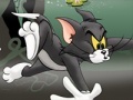 Igra Tom And Jerry Chase In Marsh