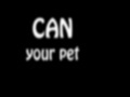 Igra Can Your Pet
