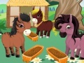 Igra Princess' Ponies