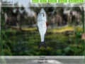 Igra Lake Fishing 3.0